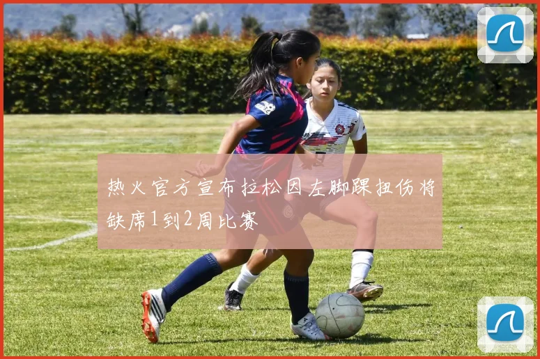 热火官方宣布拉松因左脚踝扭伤将缺席1到2周比赛